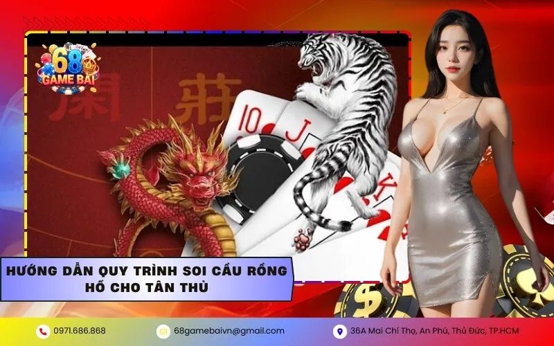 Hướng dẫn quy trình soi cầu Rồng Hổ cho tân thủ
